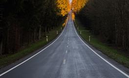 梦见开车桥垮了