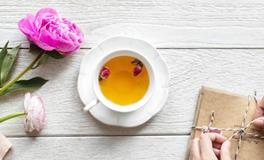 能够坚持每天写日记记录自己生活的星座