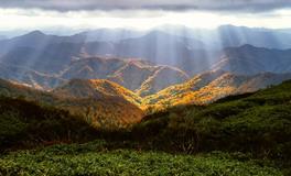 梦见爬山爬到山顶