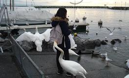 孕妇梦见流血来月经暗示什么