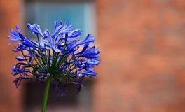 易鑫2019年9月29日生肖运势