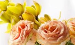 Pandora占星小巫一周塔罗运势（9.30-10.6）