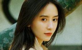 郑博士2019年10月14日生肖运势