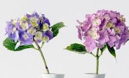 董易林2019年10月23日生肖运势