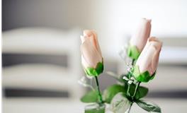 董易林2019年10月25日生肖运势