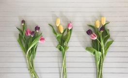 董易林2019年10月26日生肖运势