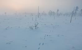 2019年小雪是几月几日几点几分