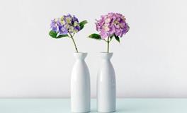 苏珊米勒每日运势2019年11月1日