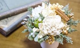 苏珊米勒每日运势2019年11月2日