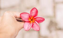 判答2019年11月十二星座运势盘点