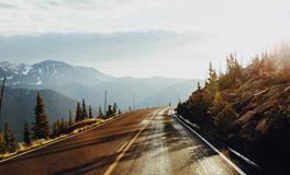 大花瓶摆客厅风水禁忌