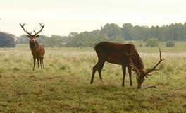 苏珊米勒每日运势2019年11月28日