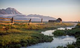 郑博士一周生肖运势（12.30-1.5）