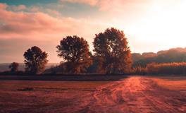 苏珊米勒每日运势2020年1月8日