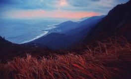 董易林2020年1月8日生肖运势