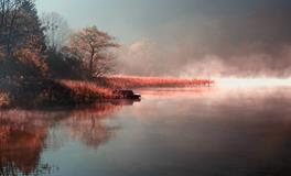 苏珊米勒每日运势2020年2月12日