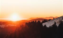 董易林2020年2月19日生肖运势