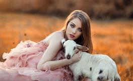 苏珊米勒每日运势2020年8月11日