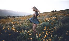 郑博士2020年8月6日生肖运势