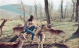 苏珊米勒每日运势2020年3月30日