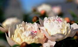 最易走心vs最不易走心的两个星座，一个热情奔放，一个沉稳内敛