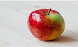 从小到大懂事又孝顺，没让家人操过心，自己闯出一片天的星座