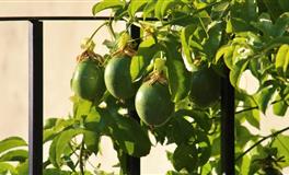 表面很温柔，内心却很“绝情”的四大星座