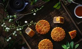 不愿意谈恋爱的星座，是工作狂魔，还是害怕受伤？