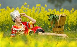 感情讲究精神契合度的星座