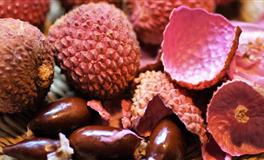 不能骂，不能打，只能宠，3大星座：你越宠我，我越乖巧