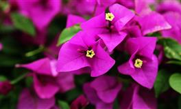 苏珊米勒2020年9月十二星座运势完整版