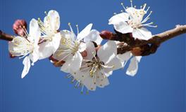 野心极大，这三大星座不甘寄人篱下，既霸气又争气