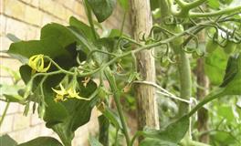 久旱逢甘露，美好就在前方的星座，终究扬眉吐气