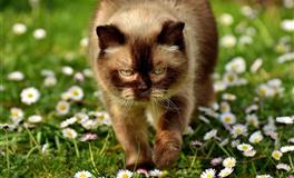 接受不了异地恋，缺乏安全感的三大星座