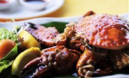 这几个星座男最讨厌强势的女人，小鸟依人才是他们的菜！