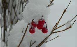 董易林2020年8月27日生肖运势