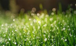 嘴上不饶人，其实心很柔软的三大星座