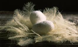 苏珊米勒2020年10月十二星座运势完整版