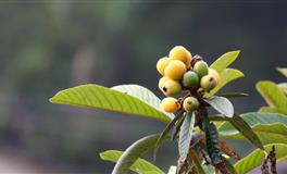 对方再好也不将就，感情绝不凑合的三大星座