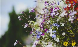 跟这几个星座谈恋爱，真的很累