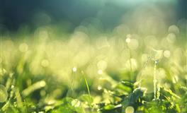 意志不够坚定，最容易被动摇的星座男