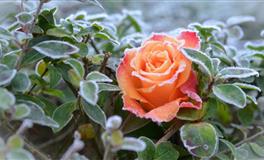 分手非常果断的星座，是太理性？还是没心没肺？