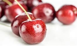 最爱老婆，一生把她捧手心的三大生肖男