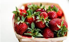 心地最善良，能拥有一生福报的三大生肖