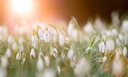 爱时情深意浓，恨时冷酷无情的三大星座，爱的专情，分的绝情