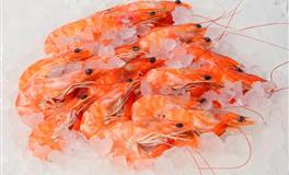 不能靠太近，否则一定会喜欢上的星座女