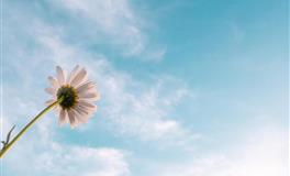 是个“超级花心”的4生肖男，从不给老婆惊喜，婚后成老爷很懒惰