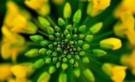 三个生肖总是勇往直前，为人比较高傲，不会轻易放弃自我