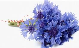 性格不合群的三大星座，生性孤独，很难靠近