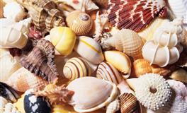 内心脆弱，不堪一击的三大星座，天生的玻璃心，经常会受伤